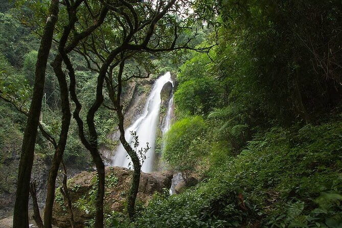 3 Day Phuket to Khao Sok National Park Tour Package - Meals, overnight style, and why included food matters