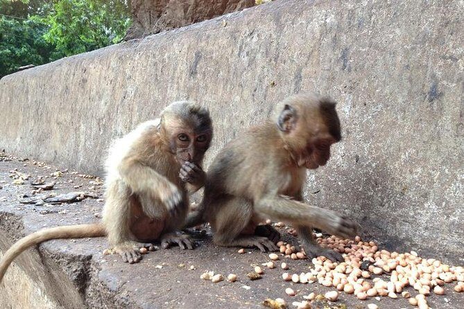 Khao Lak : Full-Day Temple Tour Including Dragon Cave - Lunch and Local Countryside: The Day’s Breather