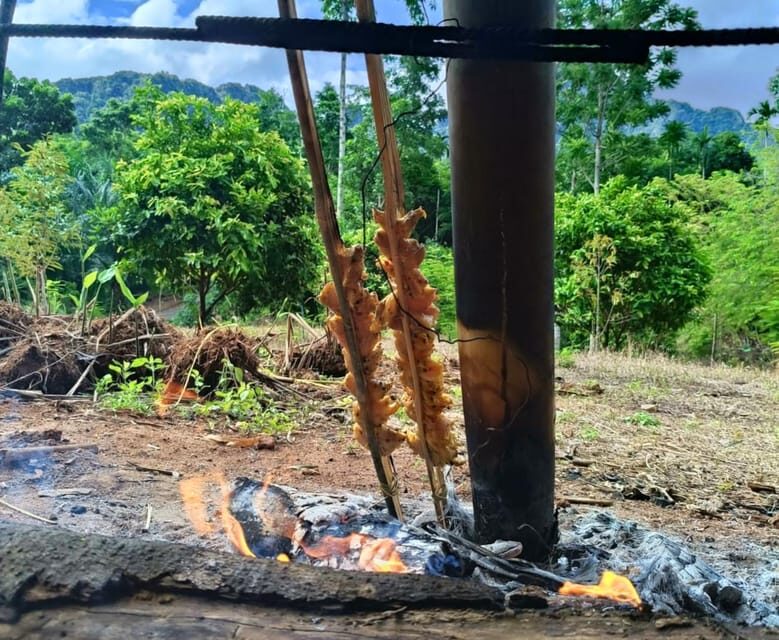 Khao Sok: Private Authentic Jungle Cooking Experience - Price and value: is $57 a fair deal?