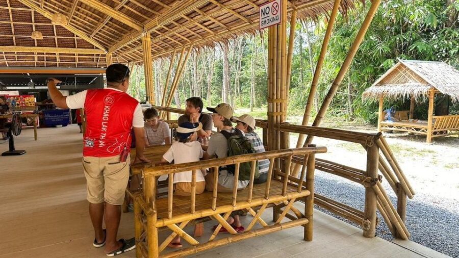 Khaolak: Begin the Day with Elephants - Walk and Feed Tour - The Elephant Walk Through the Jungle: Slow, Up Close, and Real