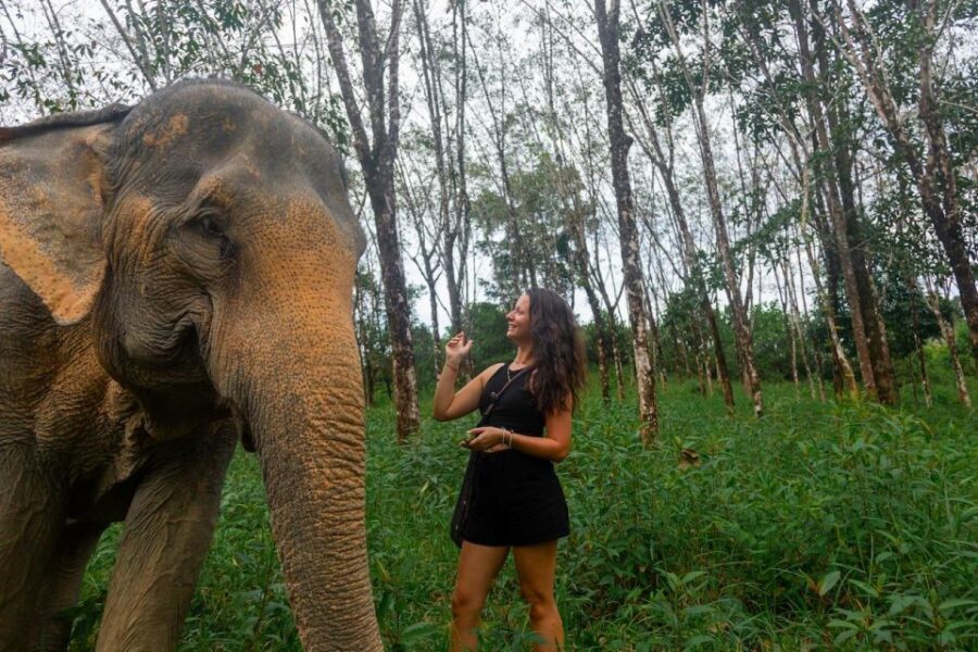 Khaolak: Begin the Day with Elephants - Walk and Feed Tour - Entering the Park: What Ethical Elephant Care Actually Means