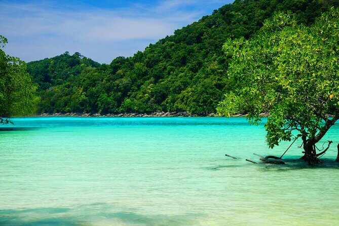 Premium Similan Island Day Trip with lunch and transfer pick up - Premium Meals That Keep the Whole Day Smooth