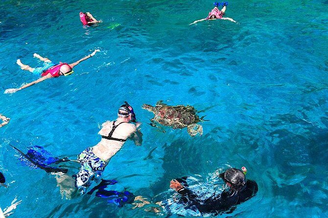 Similan Islands One Day Tour From Khao Lak - Food and Comfort: The Parts That Make or Break a Long Day