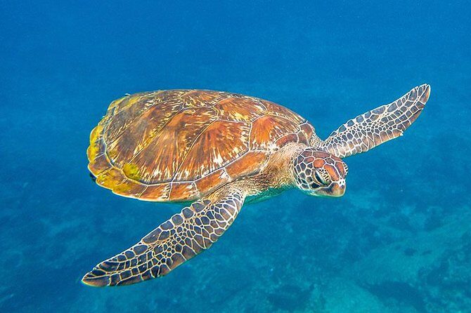 Similan Islands One Day Tour From Khao Lak - Price and What It Really Buils Down To (109.49)