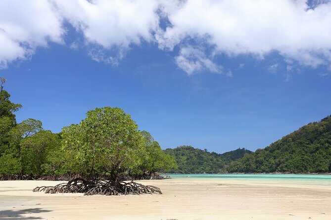 Surin Islands 2 Days 1 Night Trip from Khao Lak - Weather matters: timing, sea conditions, and your best mindset